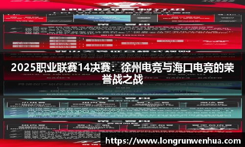2025职业联赛14决赛：徐州电竞与海口电竞的荣誉战之战